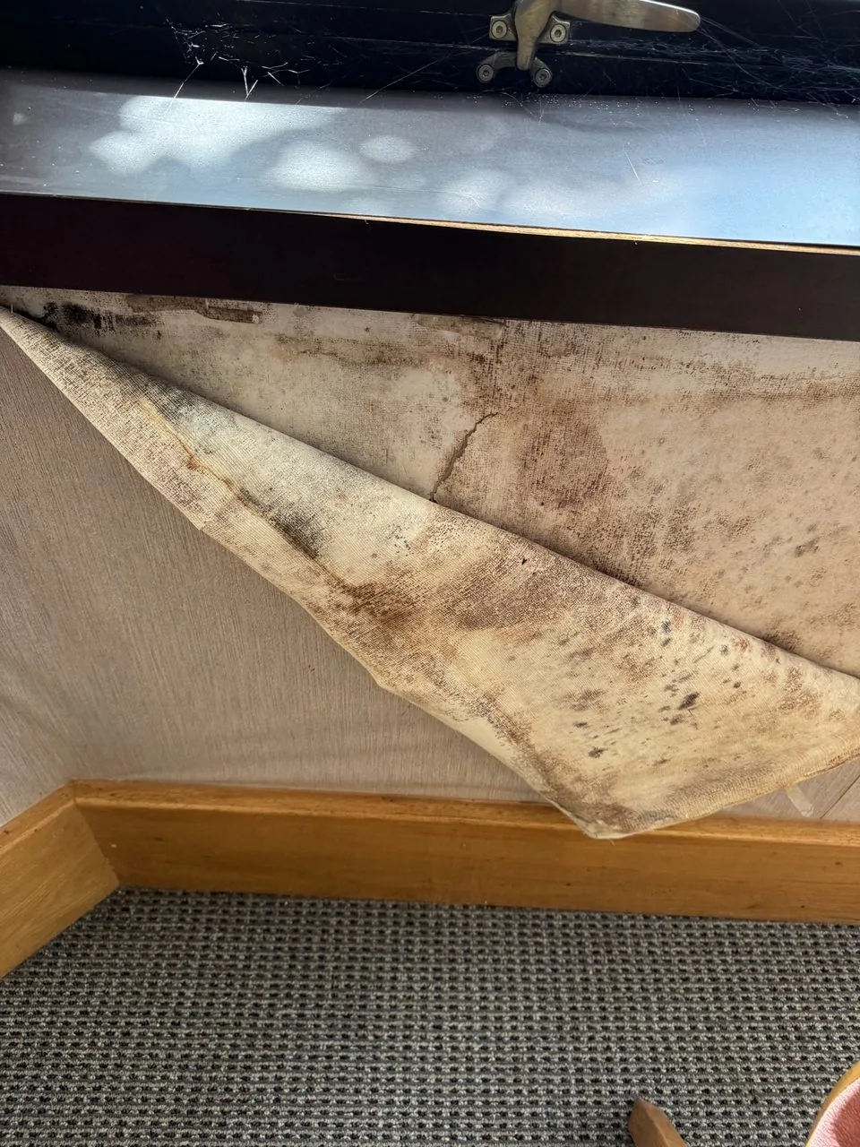 Visible mold growth discovered under a windowsill during a home mold inspection in Pennsylvania